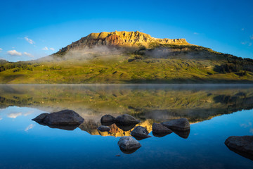 保护环境的小知识