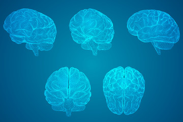 县司法局“七五”普法工作情况汇报