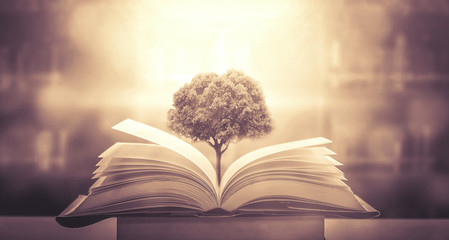 低碳产品包括哪些