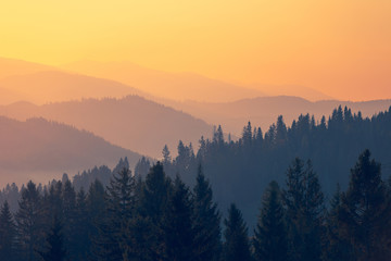 保护环境的小知识