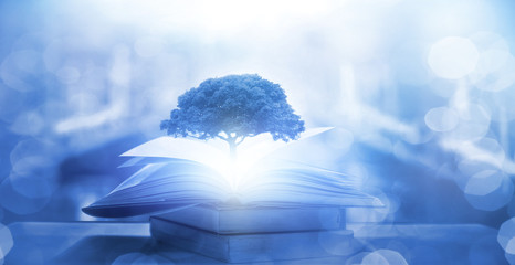 如何理解现代化旅游是市场经济高度发展的产物