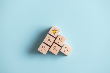 保护环境的小知识