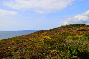 心理健康活动策划方案