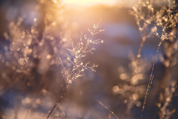 如何理解现代化旅游是市场经济高度发展的产物