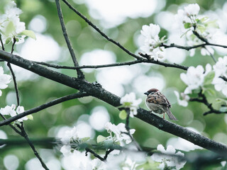 哈利波特与魔法石每章简介！快~~~~