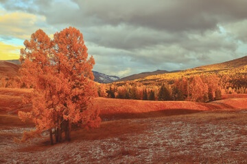 县司法局“七五”普法工作情况汇报