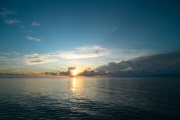 保护环境的小知识