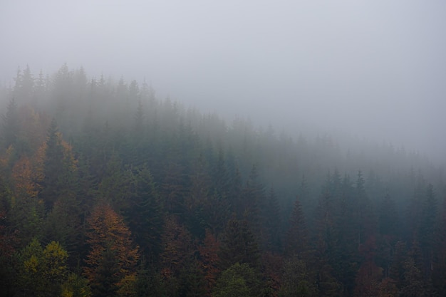 美利达13款挑战者600与14款挑战者700的区别