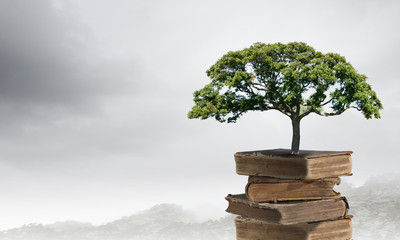 中国节气的有关知识