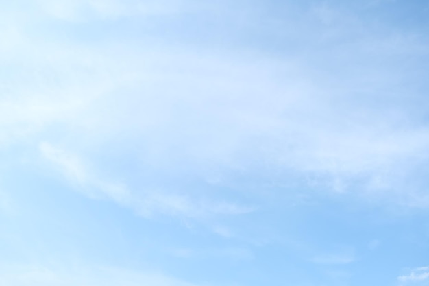 房车法美瑞最新消息