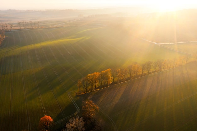 低碳产品包括哪些