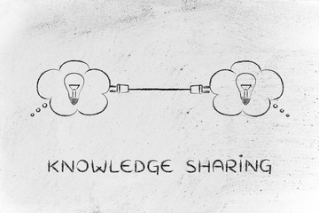 房车法美瑞最新消息