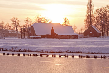 各种动物怎么说？