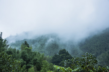 什么蛇最厉害？